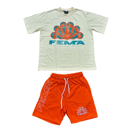 FEMA Wealth Dept Set (Miami)