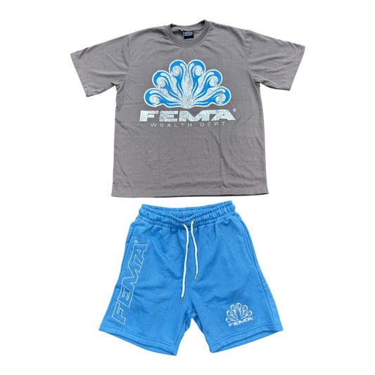 FEMA Wealth Dept Set (Grey/ Baby Blue)
