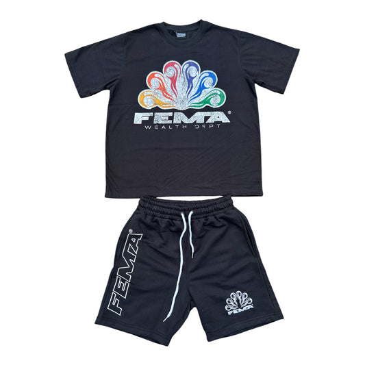 FEMA Wealth Dept Set (Black)